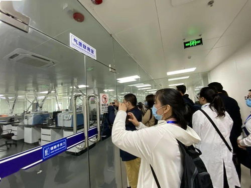 信息技術(shù)咨詢服務(wù)為落實(shí)‘六穩(wěn)六保’注入強(qiáng)勁動(dòng)力 中國(guó)-東盟檢驗(yàn)檢測(cè)認(rèn)證高技術(shù)服務(wù)集聚區(qū)賦能企業(yè)騰飛