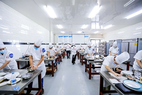重慶高新區(qū)首屆“高新工匠杯”技能大賽開(kāi)賽，信息技術(shù)咨詢(xún)服務(wù)領(lǐng)域人才角逐巔峰